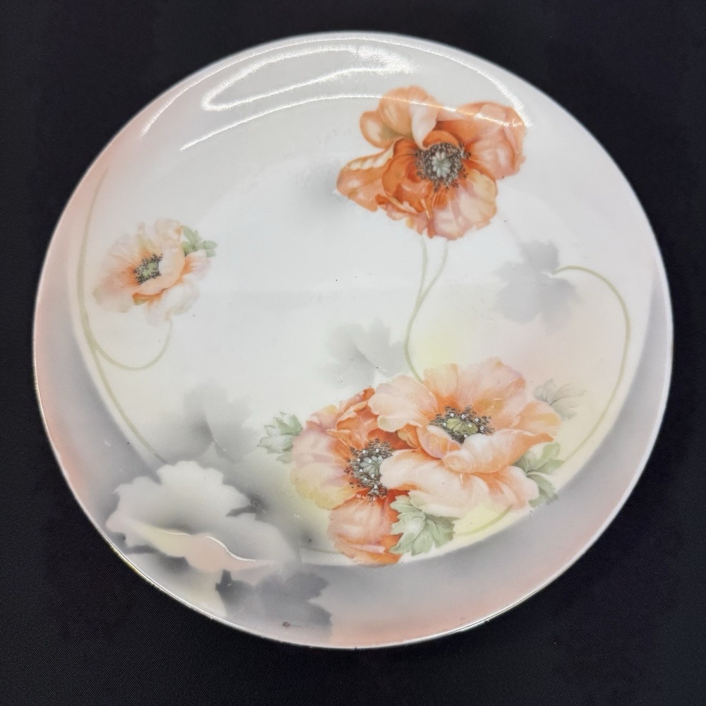 Antique Prov Saxe E S Germany Porcelain Collector's‎ Poppy Plate